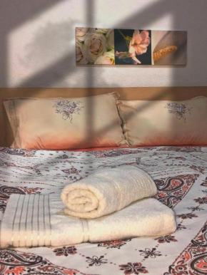 SHAH APARTMENT